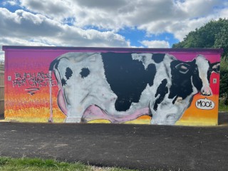 Cow Painted toilet block