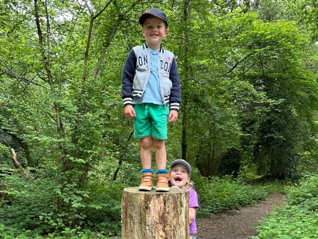 Children standing no a tree stump