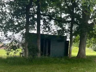Facilities in the paddocks