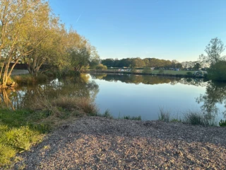 View across lake to paddocks