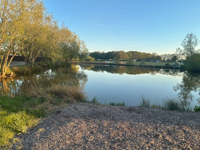 View across lake to paddocks